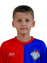 Niko Naglić