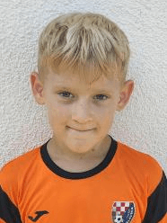 Domagoj Kolšek
