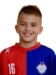 David Lucić